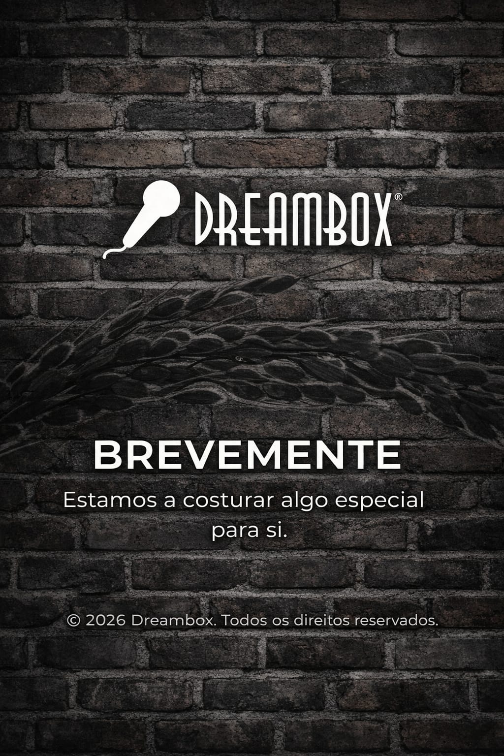 Dreambox Studio Portugal